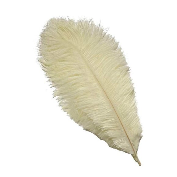 Ivory 12-14 inch Feathers for Wedding Party Craft Centerpieces | 10 pieces ~ NEW - Picture 1 of 2
